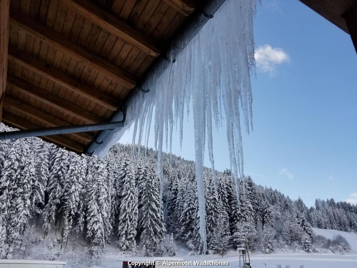 Alpenhotel Wildschoenau B&B Bagian luar foto