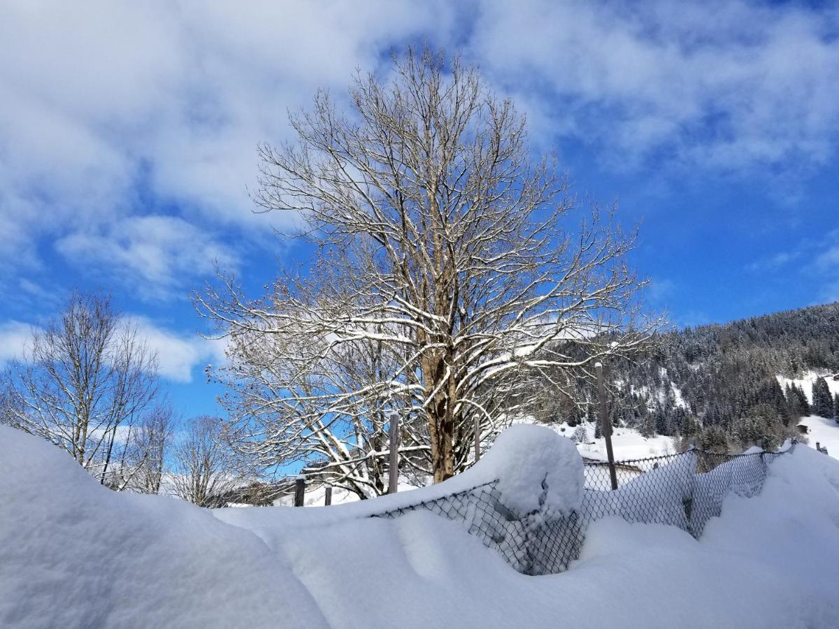 Alpenhotel Wildschoenau B&B Bagian luar foto